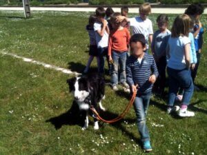 Chien qui éduque des enfants